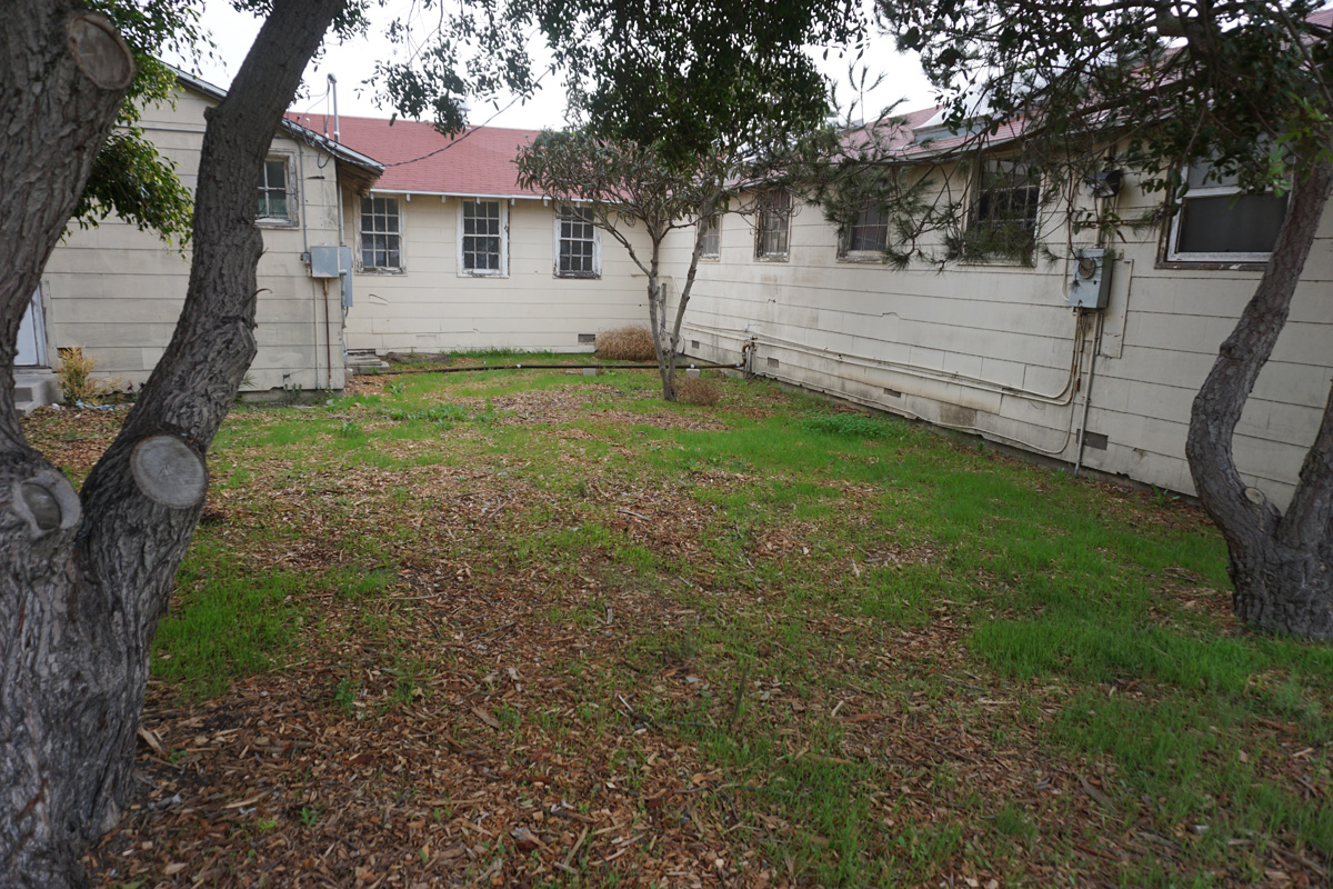 West garden behind building f